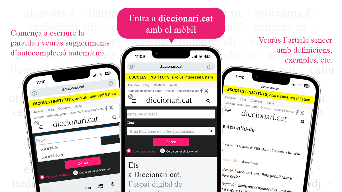 previsualització de diccionari.cat